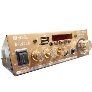 Ενισχυτής με λειτουργία Karaoke σε Χρυσό Χρώμα BT-658A