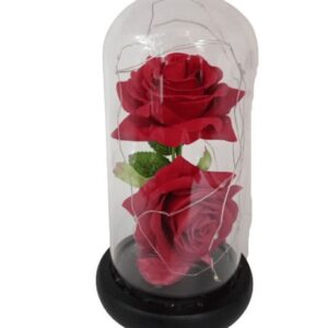 Τριαντάφυλλο Σε Γυάλα Παντοτινό Με Microled 18εκ